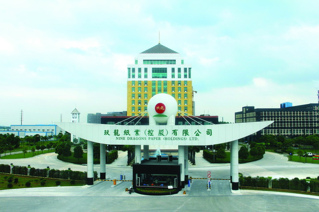 新粤商人物介绍之张茵(图2)